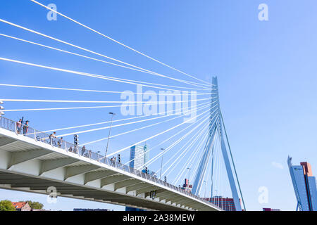 Erasmusbrug (Erasmus Brücke), über die Nieuwe Maas, Rotterdam, Niederlande. Stockfoto