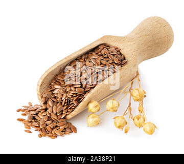 Leinsamen in Schaufel Stockfoto
