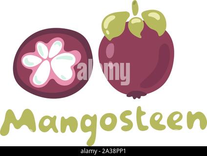 Mangosteen doodle Symbol im flachen Stil. Isoliertes Objekt. Mangosteen Logo. Vector Illustration auf weißem Hintergrund mit Beschriftung Stock Vektor