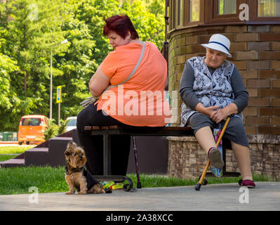 Voronezh, Russland - 28. Mai 2019: Zwei Frauen mit einem kleinen Hund im Park Stockfoto