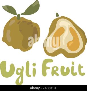 Ugli Obst Aufkleber oder Symbol auf weißem Hintergrund. Helle Vector Illustration von bunten halbe und ganze von saftigen ugli Obst im Comic-Stil Stock Vektor