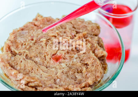 Fleisch auf einem weißen Hintergrund. Experimente, Chemie, künstlichen Herstellung Stockfoto