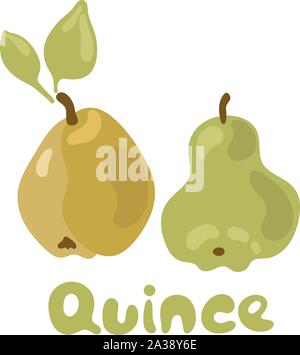 Quitten mit Blättern Symbol. Vector Abbildung: Quitte in Handgezeichneten doodle Style für dekorative Poster, Emblem Naturprodukt, Farmers Market Stock Vektor