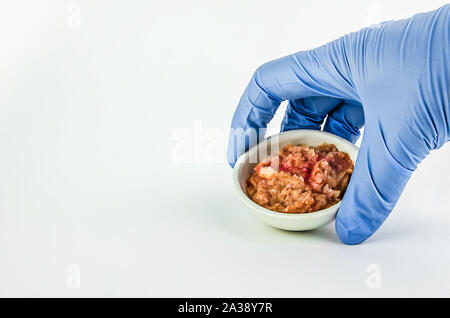 Fleisch auf einem weißen Hintergrund. Experimente, Chemie, künstliche, Produktion kopieren Raum Stockfoto