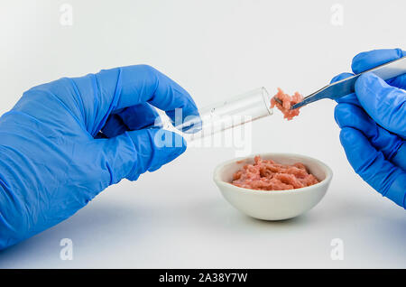 Fleisch auf einem weißen Hintergrund. Experimente, Chemie, künstlichen Herstellung Stockfoto