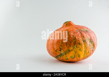 Hässliches Essen. orange Kürbis auf einem weißen Hintergrund. Kopieren Sie Platz Stockfoto