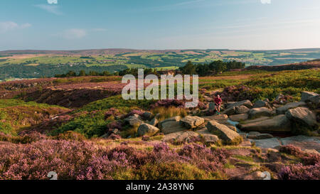 Der Mensch fiel auf Ilkley Moor Landschaft läuft Position bis zu felsigen Tal an einem schönen Sommer mit dem lila Heidekraut in voller Blüte, Ilkley m Stockfoto