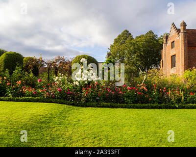 Chenies Manor Haus und Garten an einem schönen Abend Anfang September. Helle grüne Rasen, bunt Dahlie Sorten, box Hedge- und Pastelltönen Strauch rose. Stockfoto