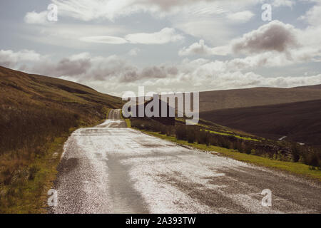 Alte Scheune und Schafe in der Straße in Birkdale im oberen Swaledale auf der B6270 über Nateby, Yorkshire Dales Stockfoto