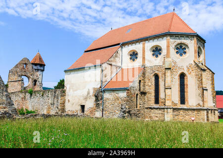 Carta, Sibiu. Die Ruinen der mittelalterlichen Zisterzienser-Abtei in Siebenbürgen, Rumänien. Stockfoto