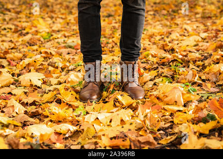 Hipster Beine in braune Schuhe im Herbst park mit gelben und roten Ahorn Laub herum. Saisonale konzeptionellen Hintergrund Bild Stockfoto