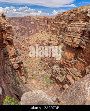 Little Colorado River Gorge in der Nähe von Grand Canyon, Arizona, United States Stockfoto