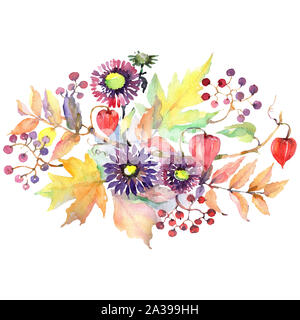 Herbst Blumenstrauß mit Astern und Physalis isoliert. Aquarell Hintergrund gesetzt. Isolierte blumenstrauß Abbildung Element. Stockfoto
