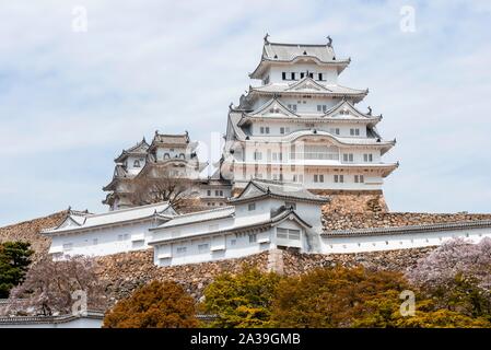 Blühende Kirschbäume, japanische Kirschblüte, Schloss Himeji, Himeji-jo, Shirasagijo oder Burg Weissreiher, Himeji, Hyogo Präfektur, Japan Stockfoto