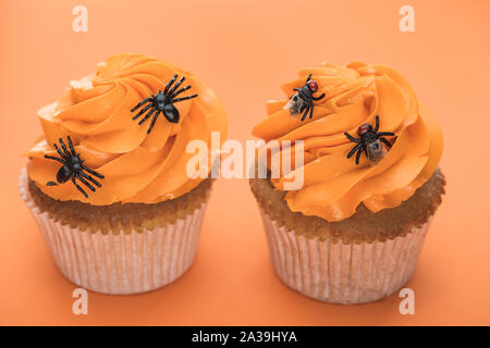 Lecker Halloween Cupcakes mit Spinnen auf orangefarbenem Hintergrund Stockfoto