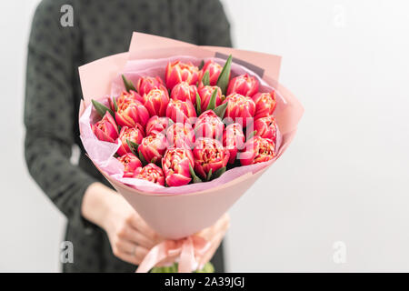 Junge schöne Frau mit einem spring Bouquet von roten Tulpen in der Hand. Bündel von frisch geschnittenen Blumen in weibliche Hände Stockfoto