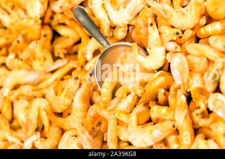 Riesengarnelen in Eis, im Supermarkt. Close-up. Stockfoto