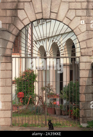 Süße schwarze Katze sitzt vor einem eleganten Eingang arch Tof ein Lombard Land Villa. Italien Stockfoto