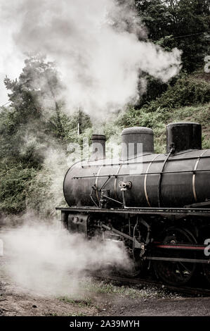 Bewegen Dampfeisenbahn 'Puffing dicker Rauch in die Luft Stockfoto