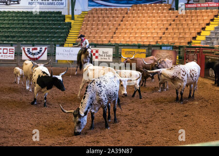 Szene aus Pawnee Bill's Wild West Show im Cowtown Coliseum im Stockyards District von Fort Worth, Texas Stockfoto