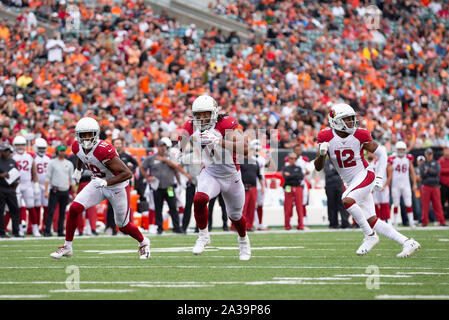 Cincinnati, OH, USA. 06 Okt, 2019. KeeSean Johnson (19) der Arizona Cardinals, Larry Fitzgerald (11) der Arizona Cardinals und Pharoh Cooper (12) der Arizona Cardinals während NFL Football Spiel Action zwischen den Arizona Cardinals und den Cincinnati Bengals an Paul Brown Stadium am 6. Oktober 2019 in Cincinnati, OH. Adam Lacy/CSM/Alamy leben Nachrichten Stockfoto