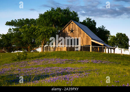 Bluebonnet Trail Scheune auf dem Hügel, in der Nähe von Ennis Texas Stockfoto