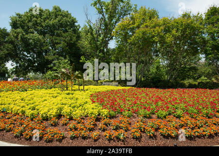 Szene aus dem 66 Hektar grossen Dallas Arboretum und Botanischer Garten in Dallas, Texas Stockfoto