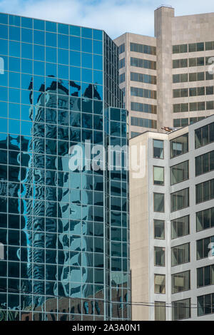 Abstrakte Überlegungen im Windows an ein modernes Hochhaus aus Glas und Stahl in der Innenstadt von Toronto in Ontario. Stockfoto