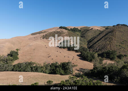 Malerische Ausblicke entlang der Route 46 in Kalifornien Stockfoto