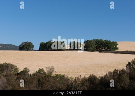 Malerische Ausblicke entlang der Route 46 in Kalifornien Stockfoto