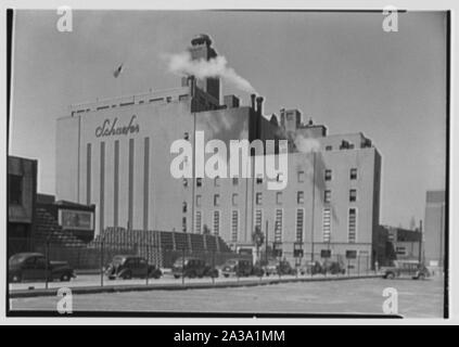 Schaefer's Brewery, Kent Avenue, Brooklyn. Stockfoto