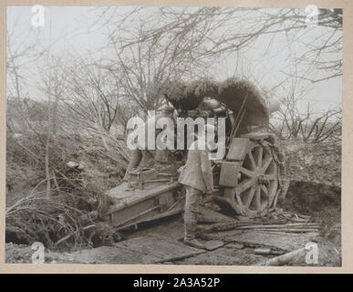 Aussortiert Haubitzen Stockfoto