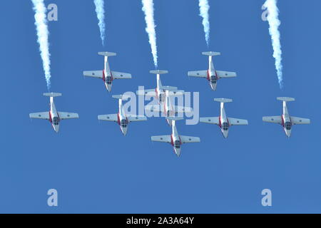 Kanadische Streitkräfte Snowbirds an der großen pazifischen Airshow in Huntington Beach, Kalifornien am 4. Oktober, 2019 Stockfoto
