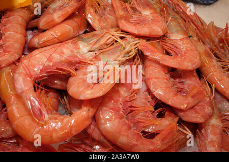 Garnelen auf Verkauf an frisches Fisch stand auf der Outdoor Street Market' Mercato di Ballaro" in Palermo, Sizilien, Italien. Stockfoto