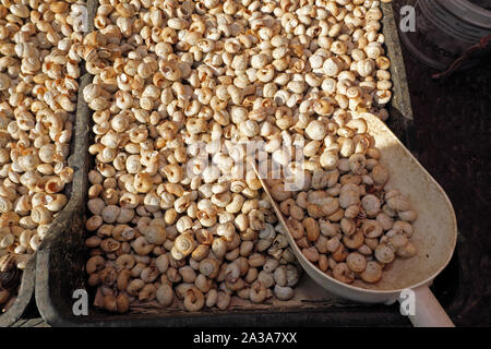 Schnecken für den Verkauf auf dem Markt der ballaro in Palermo, Sizilien, Italien. Stockfoto