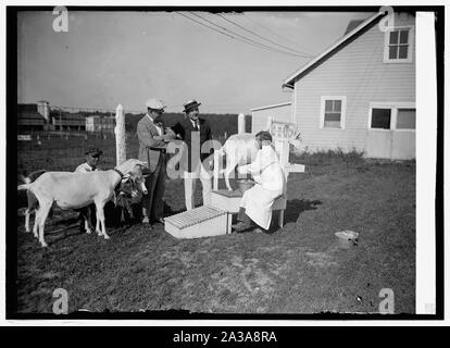 Sec. Wallace & Dr. W. Thurnheer der Schweizer Gesandtschaft in Beltsville, [MD], Bauernhof mit Ziegen, [8/18/24] Stockfoto