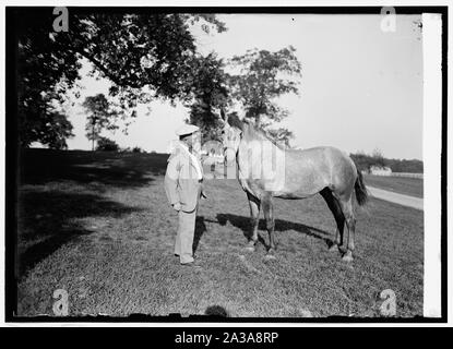 Sec. Wallace in Beltsville, [MD], Bauernhof mit 2-jährige Colt, 8/18/24. Stockfoto