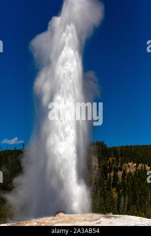 Old Faithful Geyser schießen in die Luft im Yellowstone Park Wyoming Stockfoto