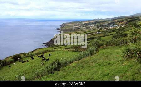 Antenne Panoramasicht auf die Insel São Miguel, Azoren, Portugal Stockfoto