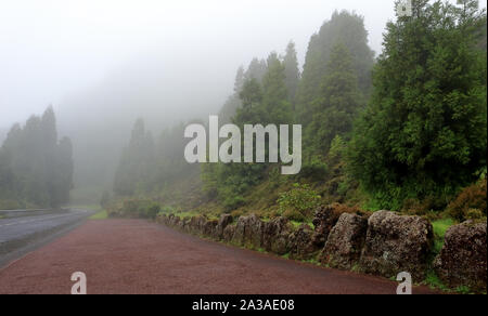Eine Straße in sehr starker Nebel auf die Inseln São Miguel, Azoren Portugal. Stockfoto