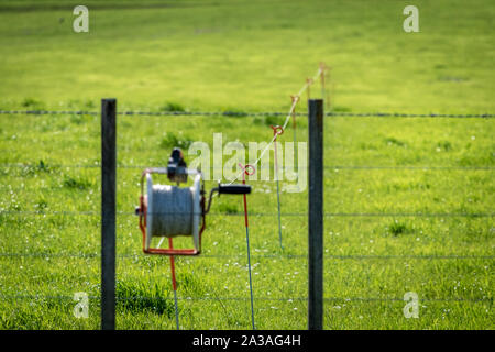 Elektrische Kabel, die durch einen padock auf einem Milch Farm Stockfoto