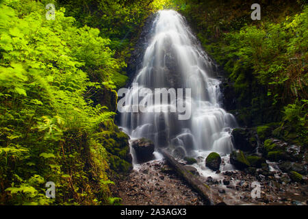 Fee fällt, Columbia River Gorge, Oregon, USA Stockfoto