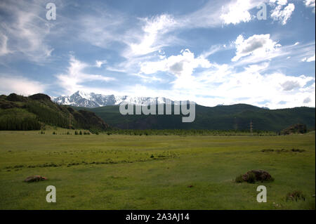 Ein Fruchtbares Weideland in der Steppe am Fuße der Berge mit Schnee unter einem bewölkten Himmel bedeckt. Kurai Steppe, Altai, Sibirien, Russland. Stockfoto