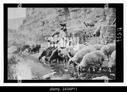 Satz von dreizehn wählen Sie Folien von Hirten leben, die die Xxiii. Psalm. Er erquicket meine Seele Stockfoto