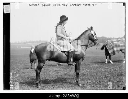 Sheila Byrne auf Harvey Ladew von Cardiff Stockfoto