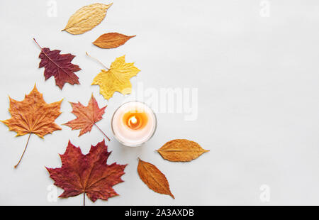 Herbst Komposition. Rahmen aus getrockneten Blätter auf weißem Hintergrund. Herbst, Herbst Konzept. Flach, Ansicht von oben, kopieren Raum Stockfoto