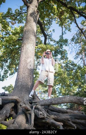 Mann in Shorts stehen auf großen Baum und unter Foto von Wald Stockfoto