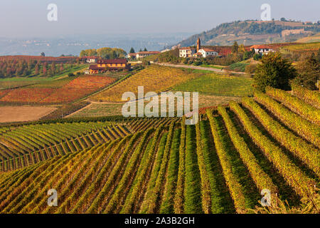 Blick auf bunte herbstliche Weinberge auf den Hügeln der Langhe in der Nähe von Barolo im Piemont, Norditalien. Stockfoto