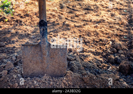 Alt Spaten oder Schaufel klemmt in frisch gegraben Erde mit Kopie der Platz in einem Konzept der Gärtnerei und Gartenbau Stockfoto