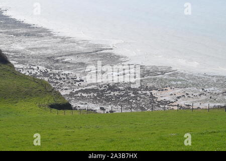 Les Falaises entre le Saint-Pierre et Mers-les-Bains, chemins de randonnée avec vue sur la Mer, La Baie de Somme, Ault, Onival, Cayeux-sur-Mer Stockfoto